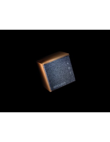 Speaker wireless 5W Wynn in bambù